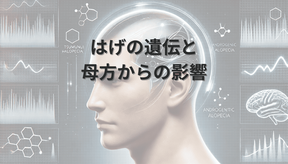 はげ　遺伝　母方