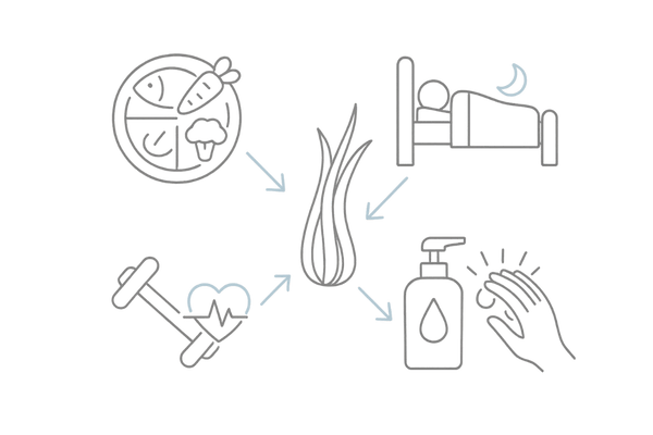 生え際薄毛の日常対策イラスト|食事・睡眠・運動・頭皮ケア