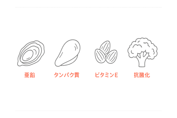 DHT抑制に役立つ食材アイコン一覧