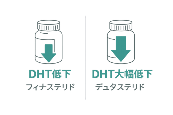 フィナステリドとデュタステリドのDHT抑制比較図