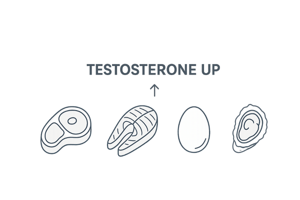 高タンパク食材によるテストステロン増強イメージ