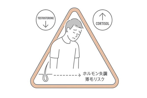 オーバートレーニングによるホルモン失調と薄毛リスク警告図