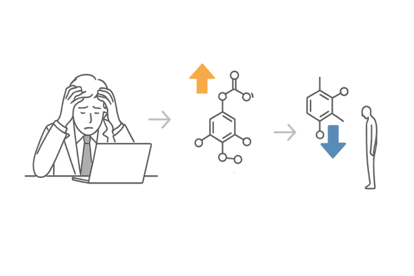 ストレスによるテストステロン低下フロー｜コルチゾール増加の影響