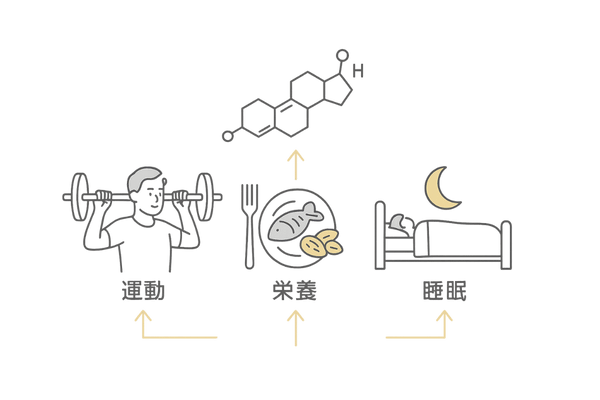 生活習慣でテストステロンを高める｜運動・栄養・睡眠のポイント