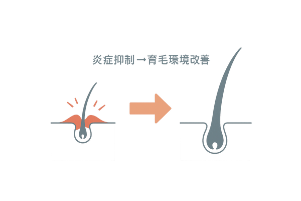 頭皮炎症の緩和で育毛を促すメカニズム図