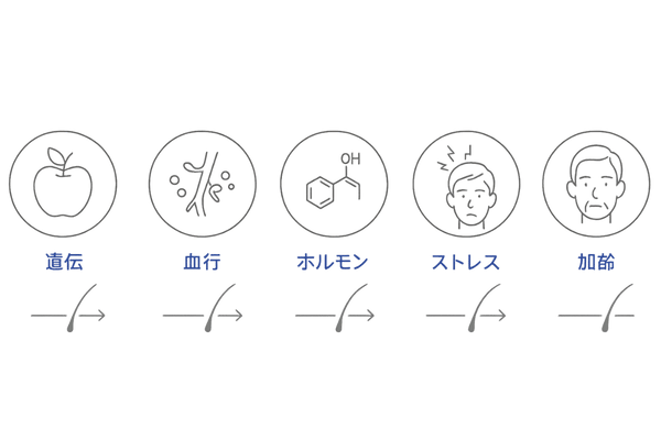 髪の太さに影響する要因アイコンセット