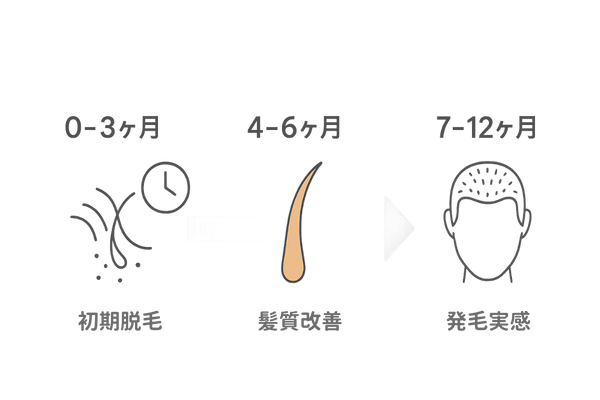 AGA治療薬 効果実感までの12か月タイムライン図