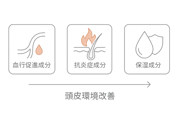 血行促進・抗炎症・保湿の育毛成分を示す頭皮断面図