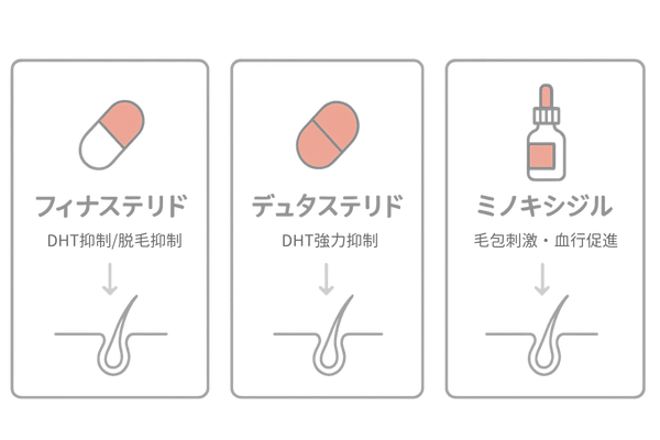 AGA治療薬の作用比較|フィナステリド・デュタステリド・ミノキシジルの役割
