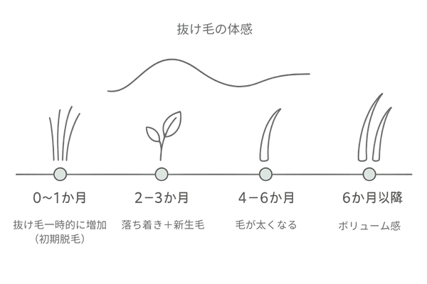 初期脱毛の経過目安|1~6か月での見た目変化タイムライン