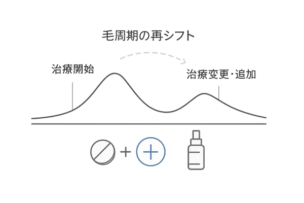 初期脱毛が2回起こるケース|治療変更・追加時の再シフト概念図