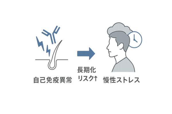免疫異常とストレスが重なると円形脱毛症が長期化するメカニズム