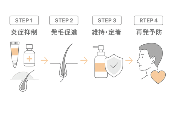 全頭脱毛症の回復プロセス4ステップ|炎症抑制→発毛促進→維持→再発予防