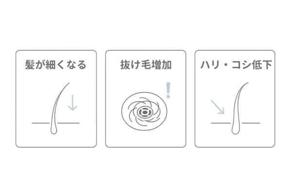 薄毛の初期サイン比較イラスト|髪が細くなる・抜け毛増加・ハリコシ低下