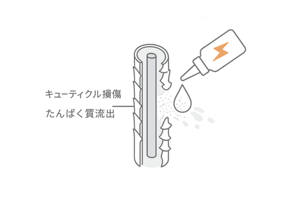 ブリーチが髪に与えるダメージ構造図