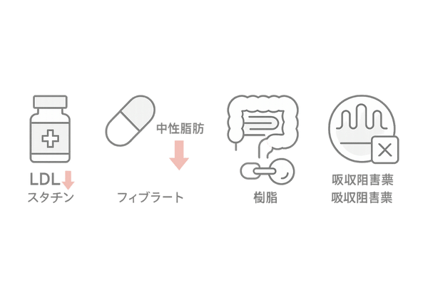 コレステロール低下薬4分類の概要インフォグラフィック | スタチン・フィブラート・樹脂・吸収阻害薬