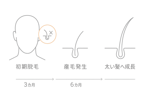 併用治療の経過タイムライン
