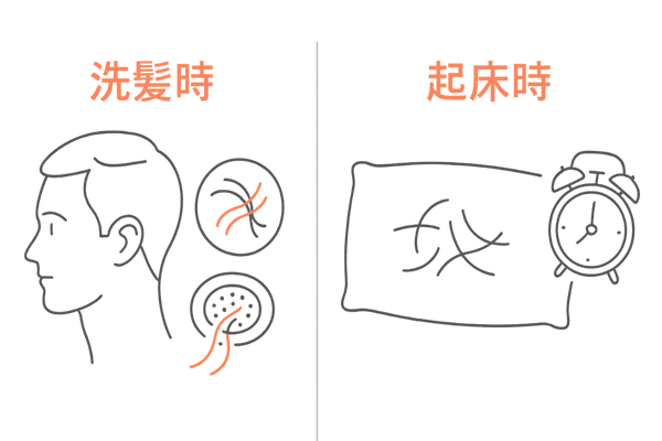 抜け毛観察シーン│洗髪時と起床時の比較