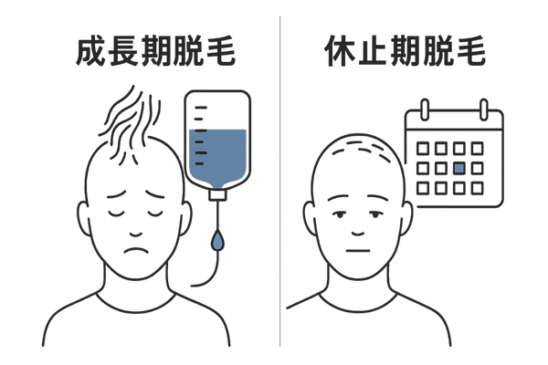 成長期脱毛と休止期脱毛