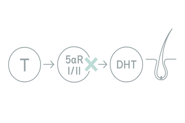 デュタステリドの作用機序|5α還元酵素I/II阻害とDHT低下の図解