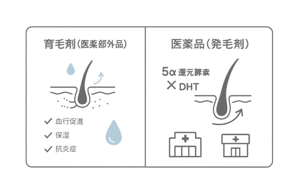 育毛剤(医薬部外品)と医薬品(発毛剤)の違い|目的・効果・入手方法の比較図解