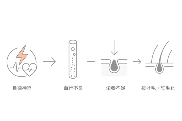 ストレスが薄毛に与える影響の流れ｜自律神経・血行不良・栄養不足のメカニズム