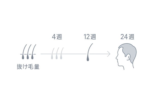 発毛効果のタイムライン｜0～6か月の変化（抜け毛減少・毛径アップ・ボリューム感）
