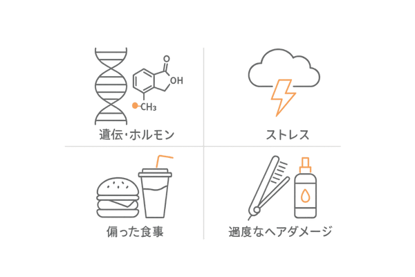 20代薄毛の主な4原因アイコンカード