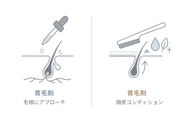 育毛剤と養毛剤の違いを一目で理解できる比較イラスト｜使い分けのポイント