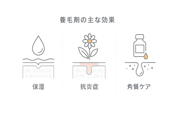 養毛剤の主要効果イメージ｜保湿・抗炎症・角質ケアで頭皮環境を整える