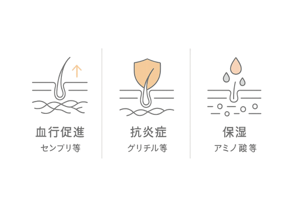 市販育毛剤の代表成分と働き|血行促進・抗炎症・保湿を比較