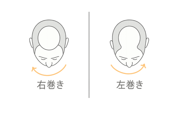 つむじの巻き方向(右巻き・左巻き)イラスト