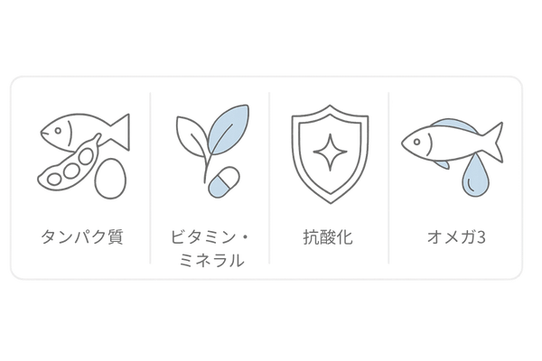 髪に良い栄養素4カテゴリ｜タンパク質・ビタミン/ミネラル・抗酸化・オメガ3