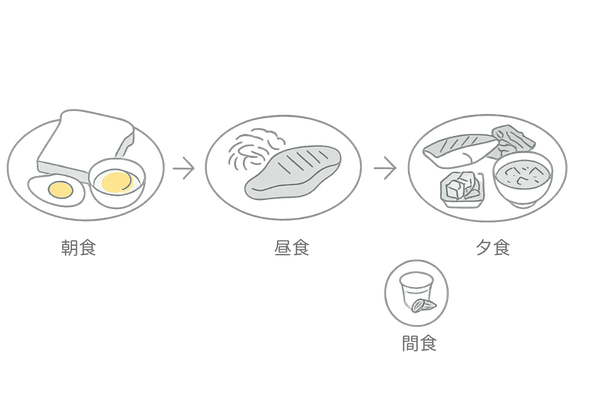1日の食事配分モデル｜朝・昼・夕で整える抜け毛対策の食事例