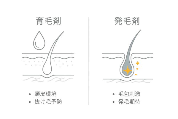 育毛剤と発毛剤の違いを一目で比較(目的・作用部位・使い分け)