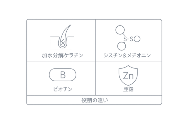 ケラチンサプリ主要成分の比較図|加水分解ケラチン・シスチン/メチオニン・ビオチン・亜鉛(効果の違い)