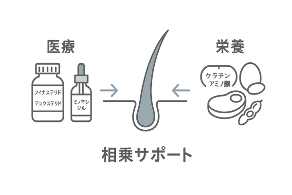 AGA治療との併用イメージ|薬物療法+ケラチンサプリの相乗サポート概念図(効果を高める組み合わせ)