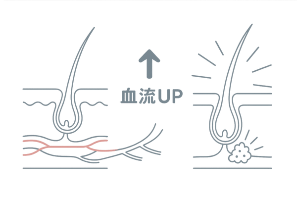 リアップの血行促進メカニズム図解
