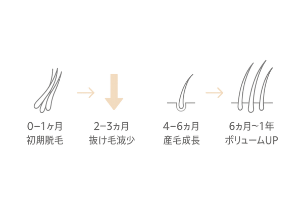 リアップ治療経過タイムライン(初期脱毛〜発毛)