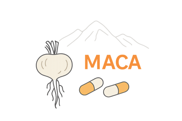 マカサプリの原料とカプセルを示すイラスト