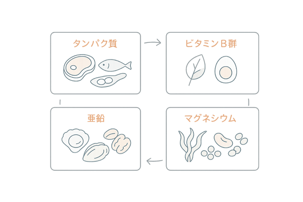 髪を支える栄養素とマグネシウムの相乗効果|2×2比較図