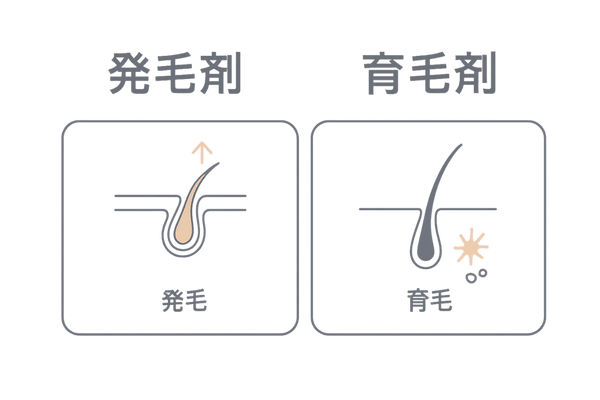 発毛剤と育毛剤の違い|男性向けAGA対策の比較図解