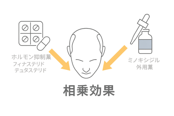 AGA治療薬の相乗効果を示すフロー図