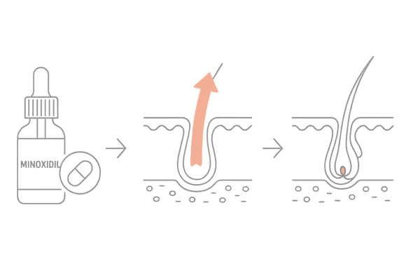ミノキシジルの血流促進メカニズムを示すイラスト