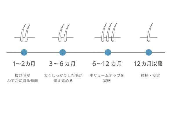 ミノキシジル内服の効果目安｜1～12カ月タイムライン