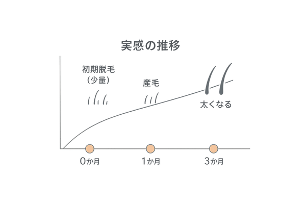 ミノキシジル外用薬の効果目安タイムライン：初期脱毛〜産毛〜太くなる（0〜6か月）