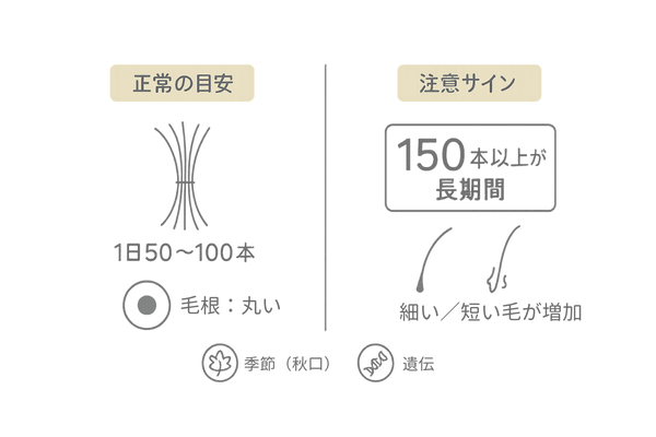 正常な抜け毛本数の目安と注意サインの比較図（50～100本／150本以上）