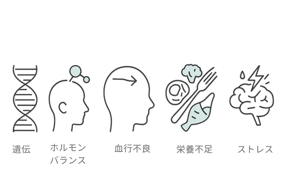 髪に影響する5大要因を一覧で描くインフォグラフィック