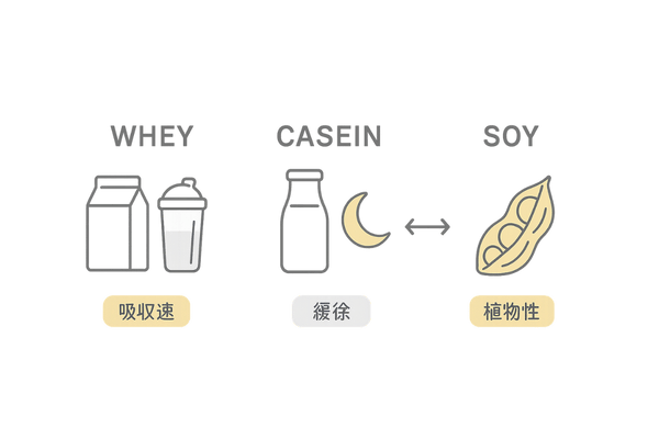 ホエイ・カゼイン・ソイプロテインの比較図
