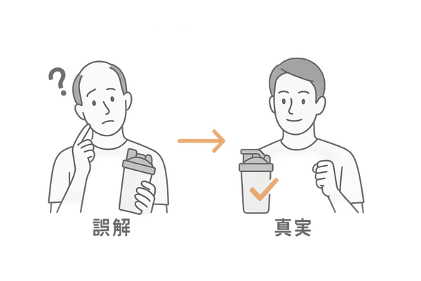 プロテインと薄毛の誤解を解説する比較イラスト